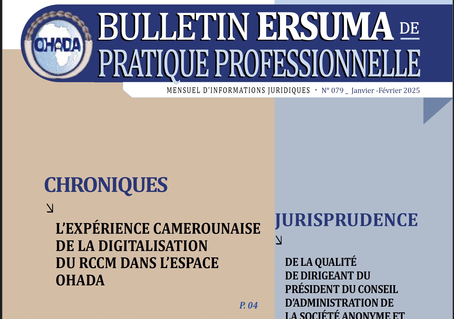 PUBLICACIÓN DEL NÚMERO 79 DEL BOLETÍN ERSUMA DE LA PRÁCTICA PROFESIONAL (BEPP)