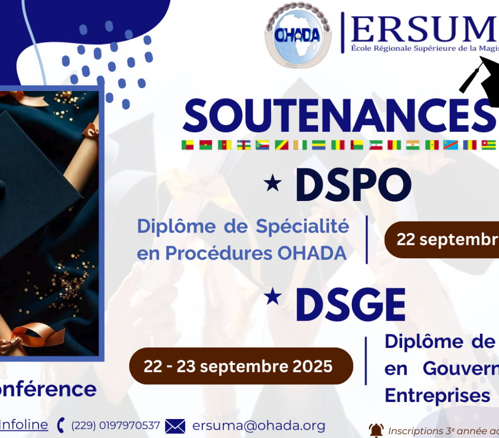 SOUTENANCE DSPO & DSGE