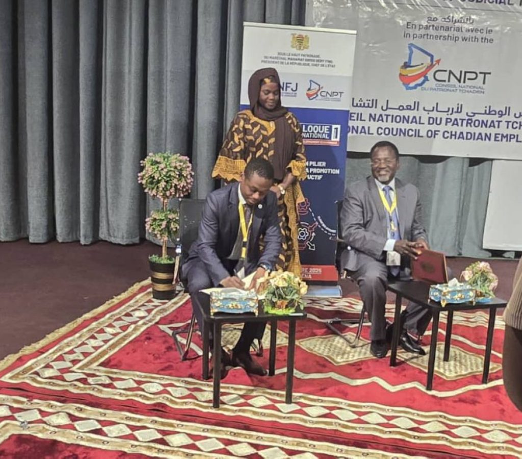 dg_ersuma_ndjamena_5